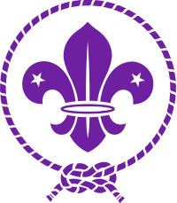 fleur de lis